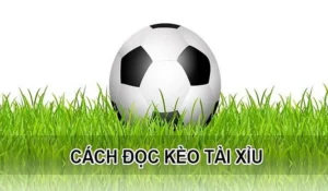 Chiến Thuật Đánh Kèo Tài Xỉu Bóng Đá Đỉnh Cao Từ Chuyên Gia