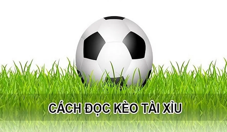 Chiến Thuật Đánh Kèo Tài Xỉu Bóng Đá Đỉnh Cao Từ Chuyên Gia