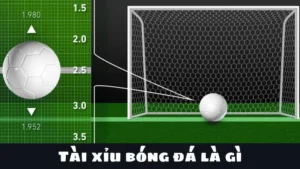 Kỹ Thuật Soi Kèo Tài Xỉu Bóng Đá Từ Cơ Bản Đến Nâng Cao