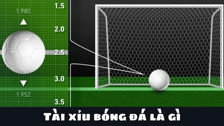 Kỹ Thuật Soi Kèo Tài Xỉu Bóng Đá Từ Cơ Bản Đến Nâng Cao