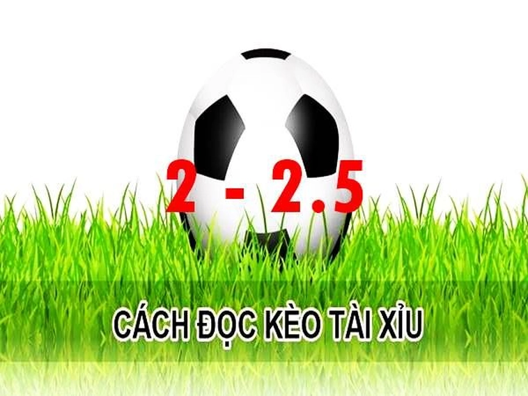 Giải Mã Kèo 2.25 Bóng Đá Kèo Hai Rưỡi Phổ Biến Nhất
