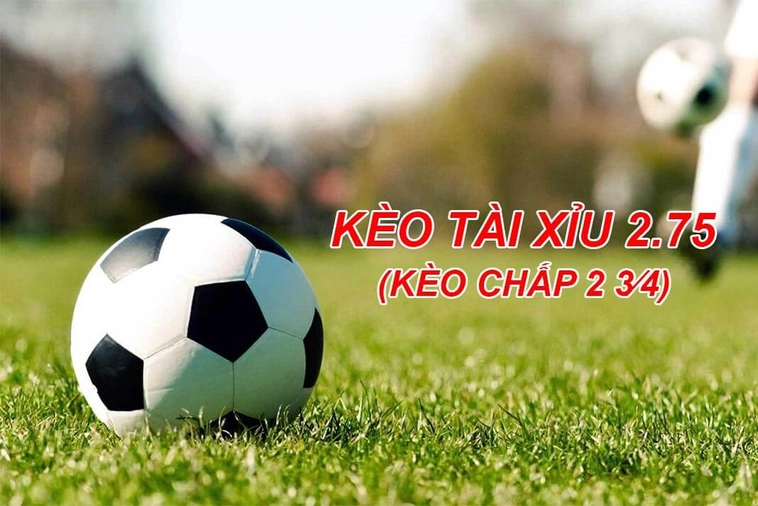 Hướng Dẫn Cách Chơi Kèo 2.75 Tài Xỉu Bóng Đá Chi Tiết